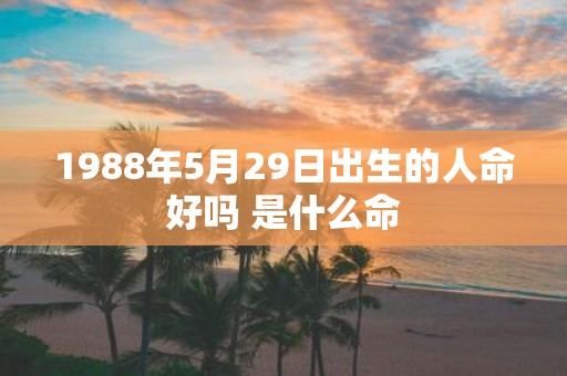 1988年5月29日出生的人命好吗 是什么命