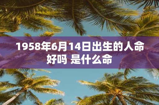 1958年6月14日出生的人命好吗 是什么命