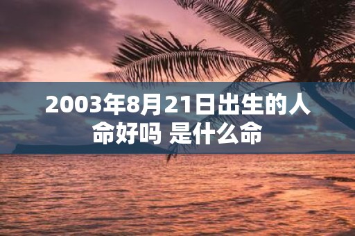 2003年8月21日出生的人命好吗 是什么命
