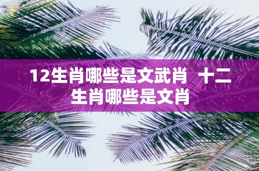 12生肖哪些是文武肖 十二生肖哪些是文肖