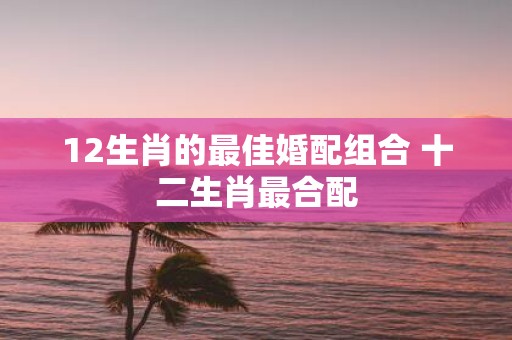 12生肖的最佳婚配组合 十二生肖最合配