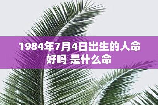1984年7月4日出生的人命好吗 是什么命