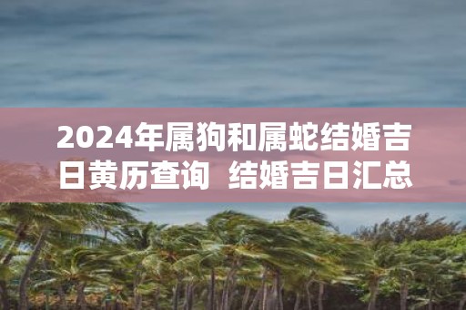 2025年属狗和属蛇结婚吉日黄历查询 结婚吉日汇总