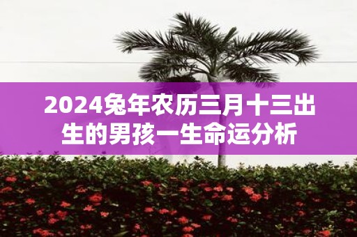 2025蛇年农历三月十三出生的男孩一生命运分析