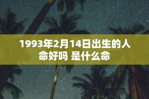 1993年2月14日出生的人命好吗 是什么命