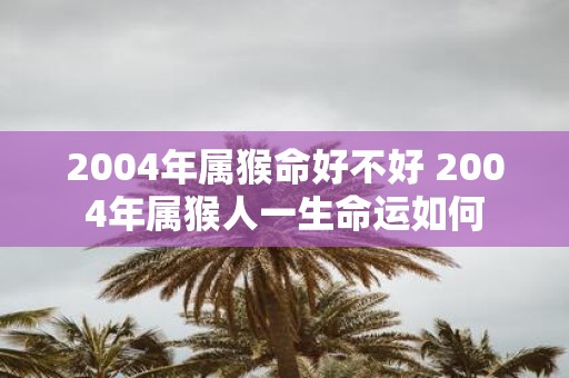 2004年属猴命好不好 2004年属猴人一生命运如何