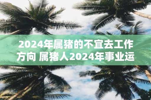 2025年属猪的不宜去工作方向 属猪人2025年事业运势