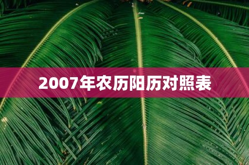 2007年农历阳历对照表