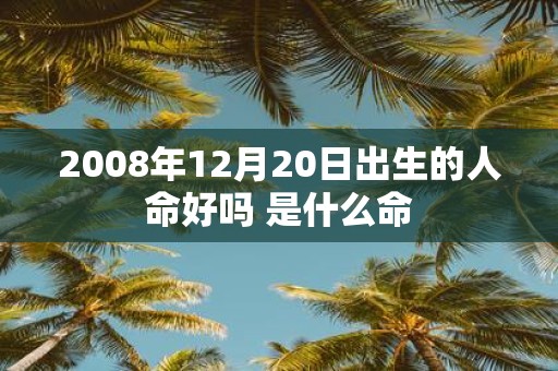2008年12月20日出生的人命好吗 是什么命