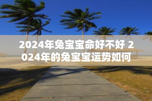 2025年兔宝宝命好不好 2025年的兔宝宝运势如何