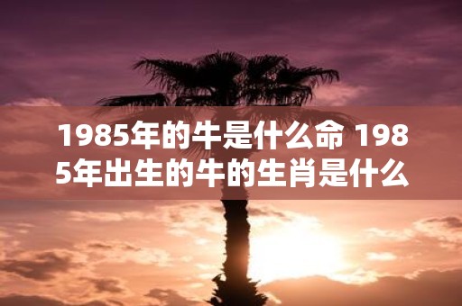 1985年的牛是什么命 1985年出生的牛的生肖是什么