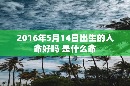 2016年5月14日出生的人命好吗 是什么命