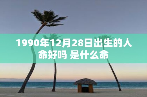 1990年12月28日出生的人命好吗 是什么命