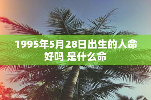1995年5月28日出生的人命好吗 是什么命