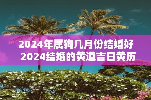 2025年属狗几月份结婚好 2025结婚的黄道吉日黄历查询