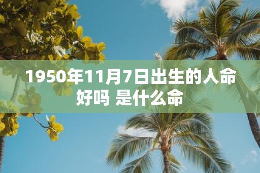 1950年11月7日出生的人命好吗 是什么命