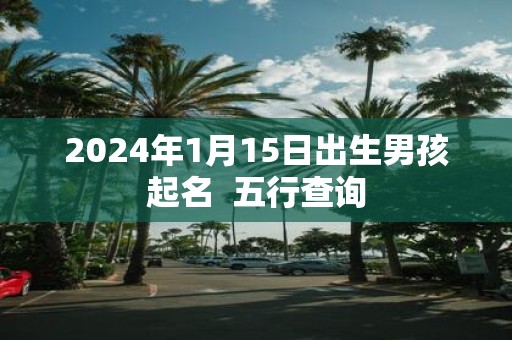 2025年1月15日出生男孩起名 五行查询