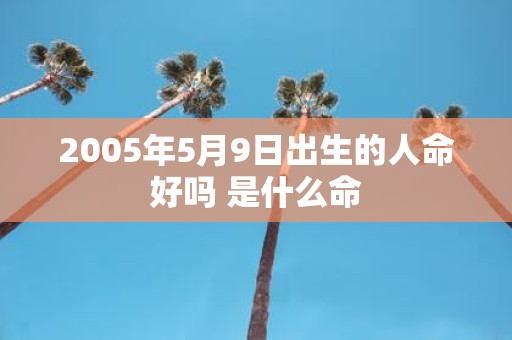 2005年5月9日出生的人命好吗 是什么命