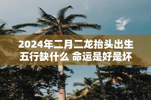 2025年二月二龙抬头出生五行缺什么 命运是好是坏