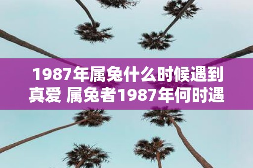 1987年属兔什么时候遇到真爱 属兔者1987年何时遇真爱