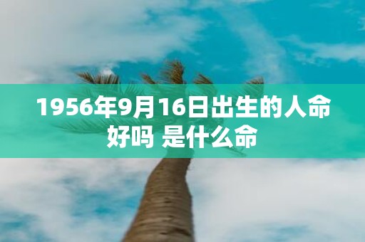 1956年9月16日出生的人命好吗 是什么命