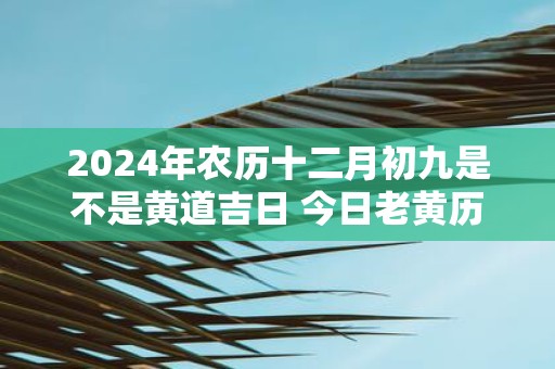 2025年农历十二月初九是不是黄道吉日 今日老黄历如何