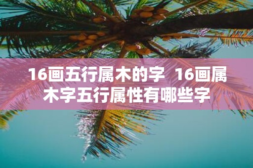 16画五行属木的字 16画属木字五行属性有哪些字
