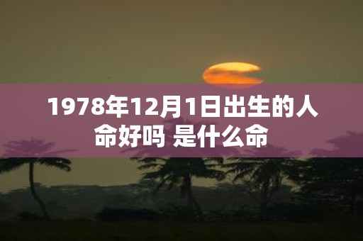 1978年12月1日出生的人命好吗 是什么命