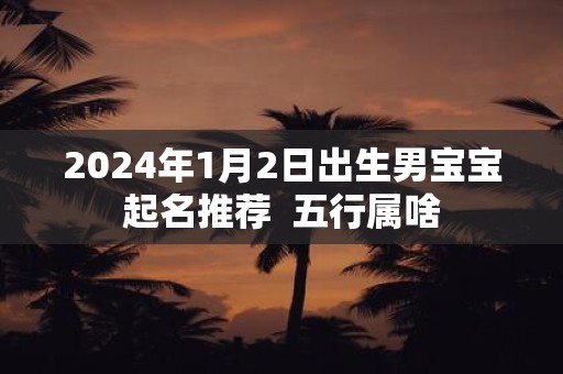2025年1月2日出生男宝宝起名推荐 五行属啥