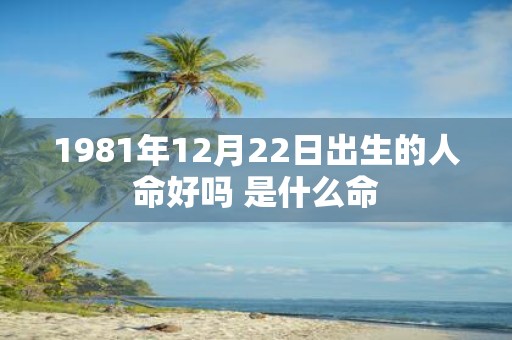 1981年12月22日出生的人命好吗 是什么命