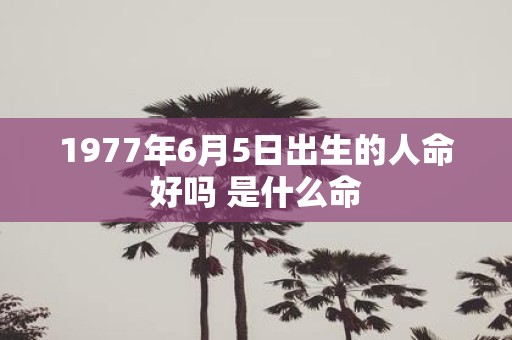 1977年6月5日出生的人命好吗 是什么命