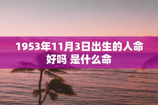 1953年11月3日出生的人命好吗 是什么命