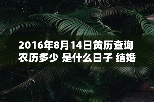 2016年8月14日黄历查询 农历多少 是什么日子 结婚吉时