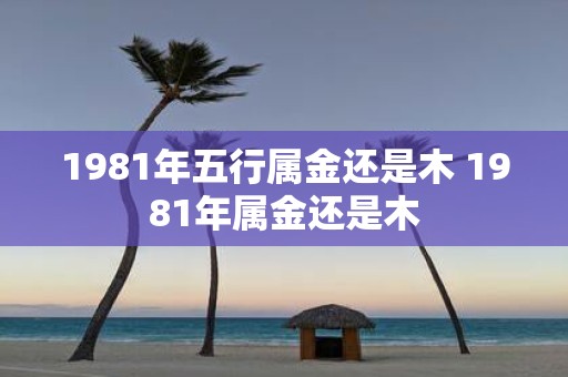 1981年五行属金还是木 1981年属金还是木