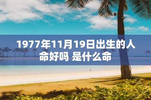 1977年11月19日出生的人命好吗 是什么命