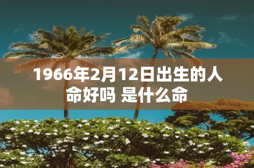 1966年2月12日出生的人命好吗 是什么命