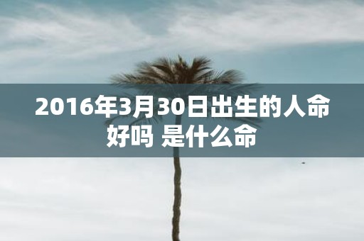2016年3月30日出生的人命好吗 是什么命