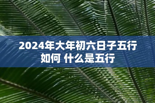 2025年大年初六日子五行如何 什么是五行