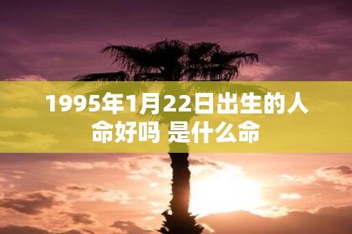 1995年1月22日出生的人命好吗 是什么命