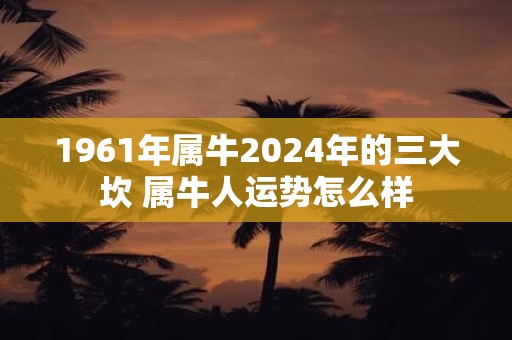 1961年属牛2025年的三大坎 属牛人运势怎么样