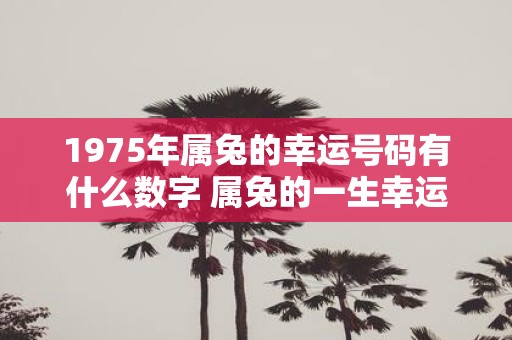 1975年属兔的幸运号码有什么数字 属兔的一生幸运数字查询