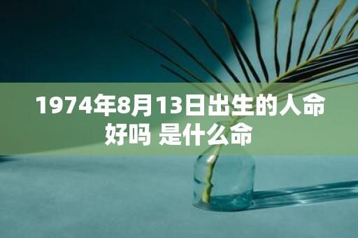 1974年8月13日出生的人命好吗 是什么命