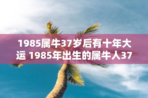1985属牛37岁后有十年大运 1985年出生的属牛人37岁后有十年大运吗