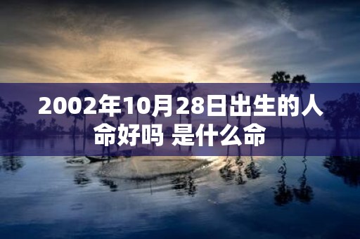 2002年10月28日出生的人命好吗 是什么命