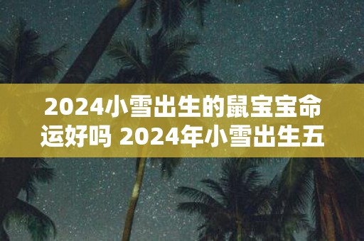2025小雪出生的鼠宝宝命运好吗 2025年小雪出生五行缺什么