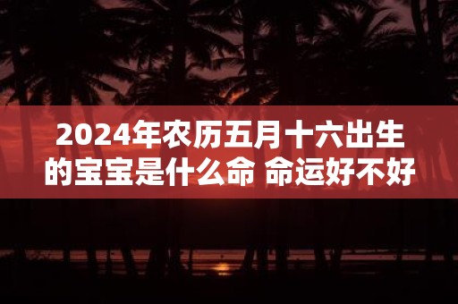 2025年农历五月十六出生的宝宝是什么命 命运好不好