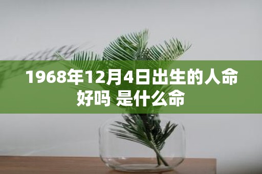 1968年12月4日出生的人命好吗 是什么命