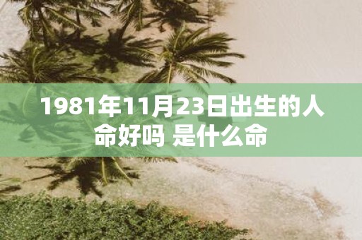 1981年11月23日出生的人命好吗 是什么命