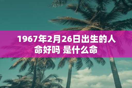 1967年2月26日出生的人命好吗 是什么命
