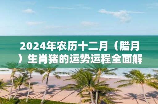 2025年农历十二月（腊月）生肖猪的运势运程全面解析！